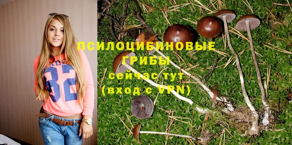 гидропоника Краснотурьинск