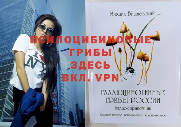 прущая мука Краснослободск