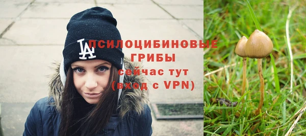 MDMA Мурманск