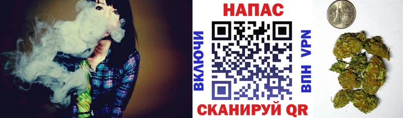 mega tor  Пионерский  МАРИХУАНА сатива  цены наркотик 